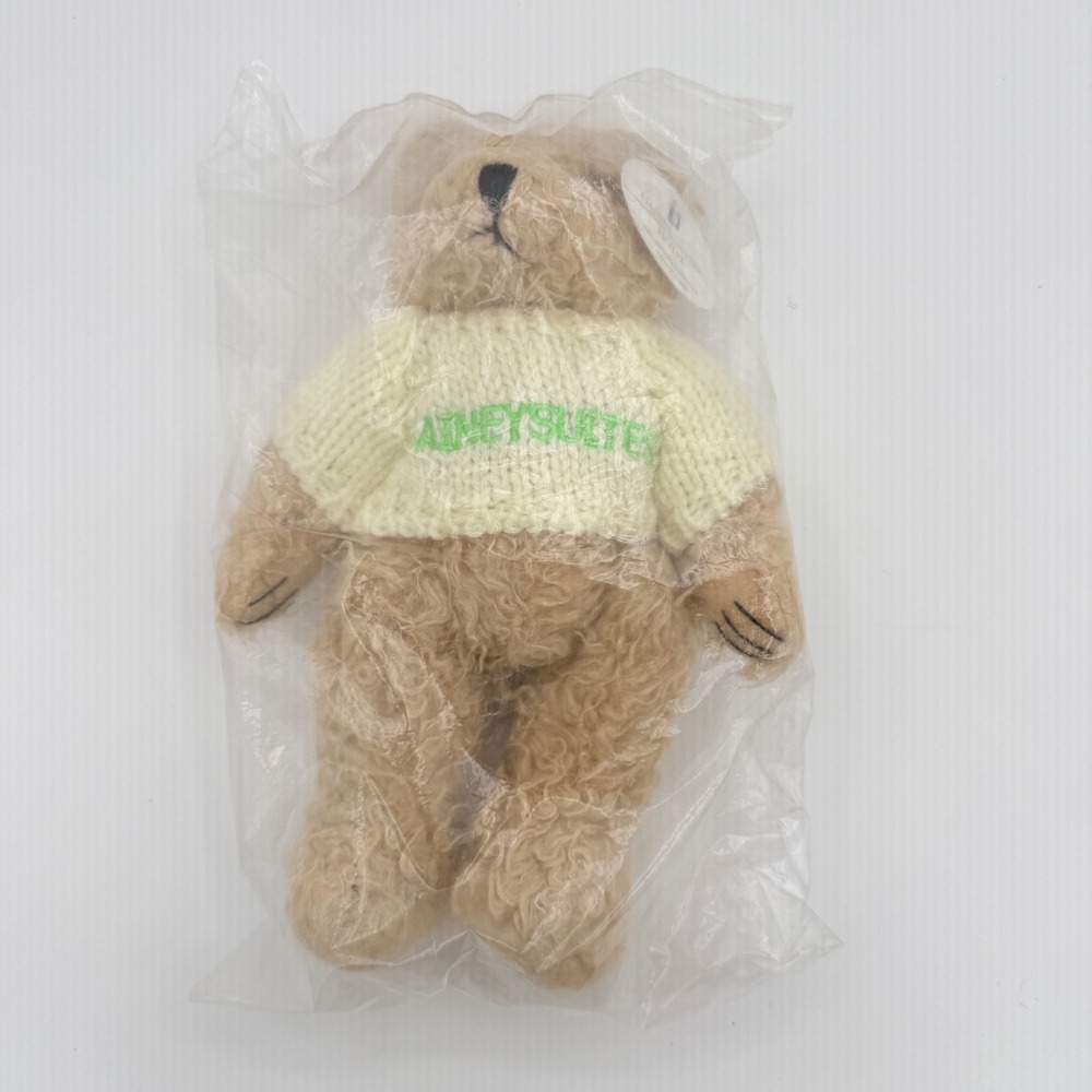 Gainey Suites Hotel Teddy Bear Scottsdale Arizona Guest Souvenir New Sealed 10"